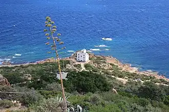 Capo Comino à Siniscola