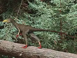 Sinocalliopteryx (vue d'artiste)