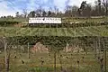 Le vignoble.