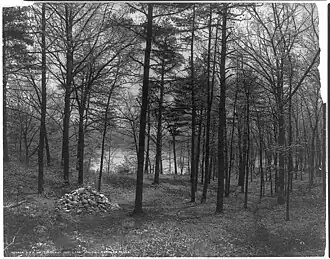 Photographie de Thoreau's Cove, lieu où l'auteur de Walden édifia sa maisonnette.