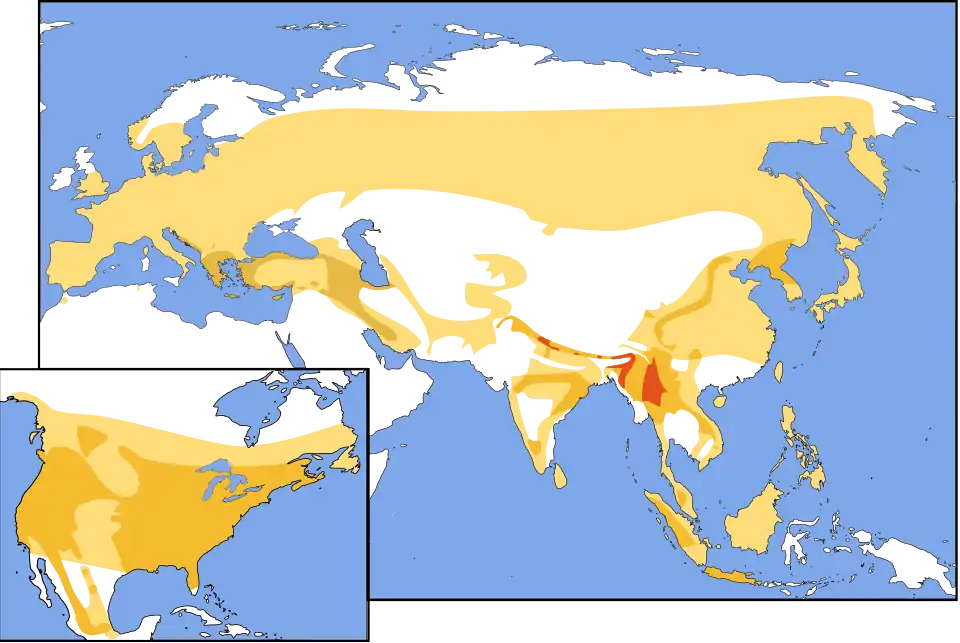 Cartes de l'Eurasie et de l'Amérique du Nord montrant la répartition décrite dans le texte ci-contre.