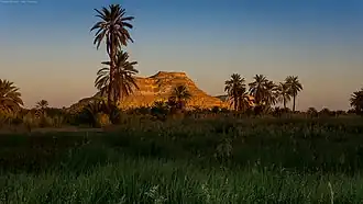 Siwa (oasis)