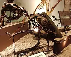 Castor géant du Nebraska, 2,5&nbsp;mètres de haut.