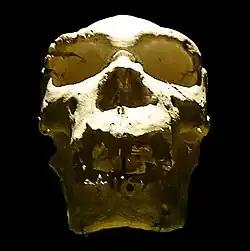 Crâne 5, dit Miguelón, de face.