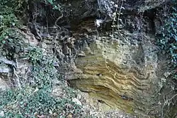 Un litage de plusieurs bancs (couches) silto-gréseux. L'irrégularité des bancs inférieurs pourrait s'expliquer par un glissement sous-marin.