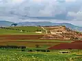 Plaine agricole à Sidi M'hamed Ben Ali