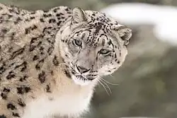 photographie en couleur