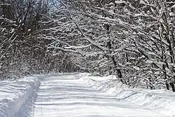 Route de campagne recouverte par la neige.