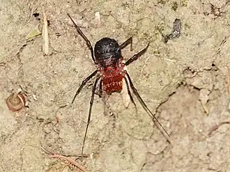 Description de cette image, également commentée ci-après