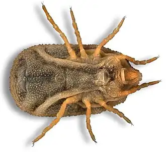 Description de cette image, également commentée ci-après