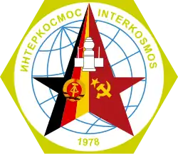 Insigne de la mission