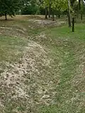 Site du Blanc-Mont, vestige de tranchée allemande