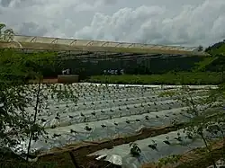 Technique de culture au centre Songhaï.