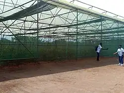 Culture sous serre au centre Songhaï.