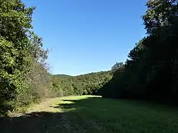 La combe en contrebas des grottes.