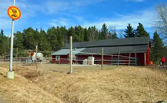 Chevaux du manoir de Soukanpohja.