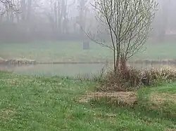 Source de la Tadoire