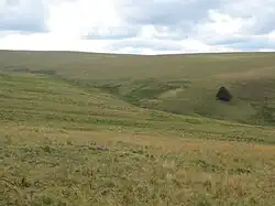 Source du Bès sur le versant est.