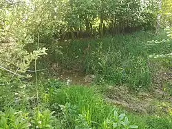 Source du Dorfgraben à Gougenheim