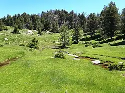 La source de l'Aude, quelques centaines de mètres en amont du lac d'Aude.