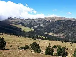 Vue vers la partie la plus élevée de la vallée de la Rotjà
