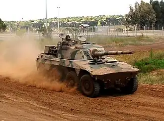 Image illustrative de l’article Rooikat