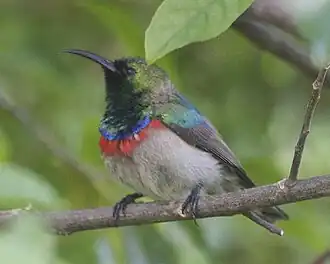 Description de cette image, également commentée ci-après