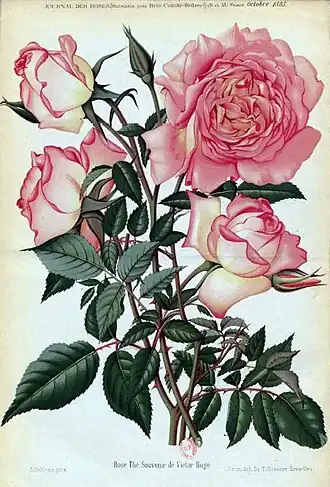 'Souvenir de Victor Hugo' (1884)