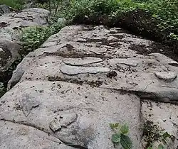 Image illustrative de l’article Polissoirs du Bois de la Briche