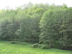 L’Occhiorosso à Soveria Mannelli peu de temps avant sa jonction avec le Sabettella.