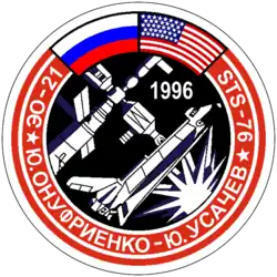 Insigne de la mission