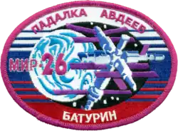 Insigne de la mission