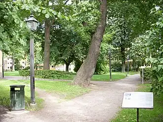 Image illustrative de l’article Parc hanté