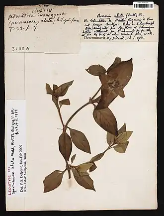 Description de cette image, également commentée ci-après