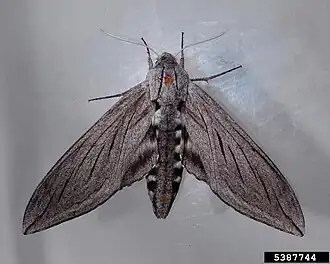 Description de cette image, également commentée ci-après