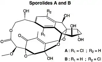 Sporolides.