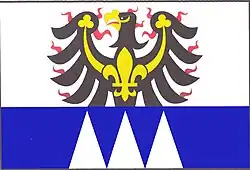 Drapeau de Spytihněv