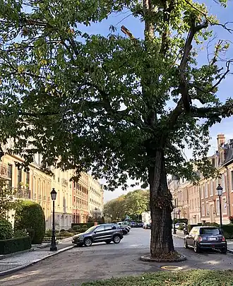 Image illustrative de l’article Square du Bois (Bruxelles)