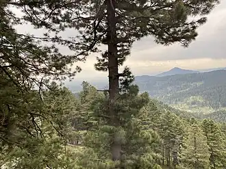 District de Baramulla