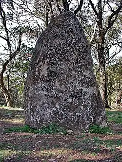 Menhir de Saint-Guillaume