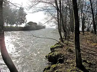Buchillon