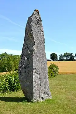 Image illustrative de l’article Menhir de Nidevelle