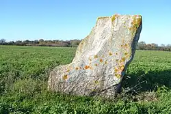 Menhir de la Grande Bernerie.
