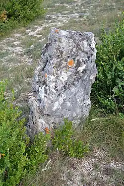 Menhir des Barasques no&nbsp;1