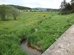 Un ruisseau, affluent de la Dunières.