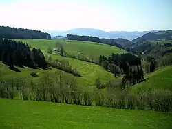 Entre St. Peter et St. Märgen, la vallée Oberibental