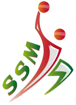 Logo du Stade sportif midien