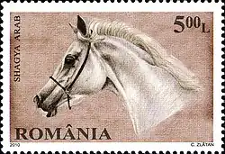 Timbre avec une tête de cheval blanc.