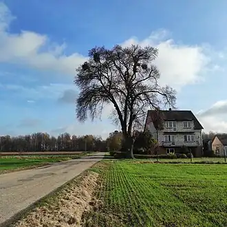 Stanisławka (Puławy)