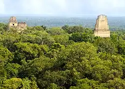 Photo de bâtiments dans une forêt tropicale.